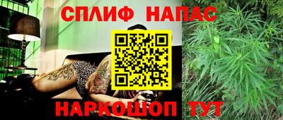 гидропоника Ставрополь
