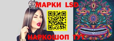 гидропоника Ставрополь